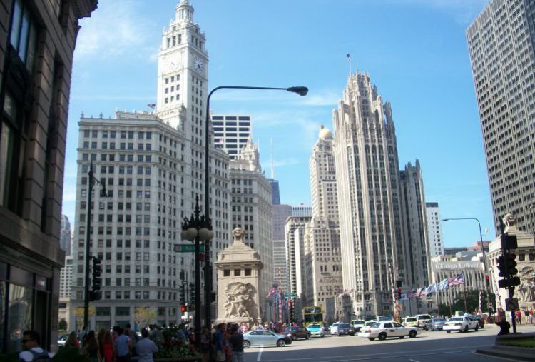 IL008